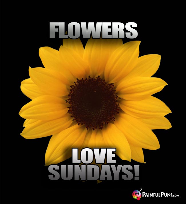 Flowers Love Sundays!