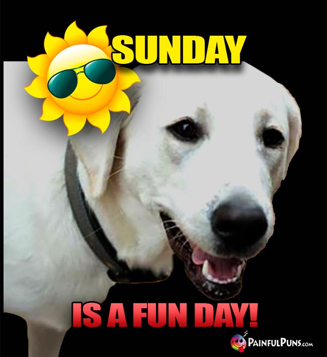 Mellow Lab Dog Says: Sunday Is A Fun Day!