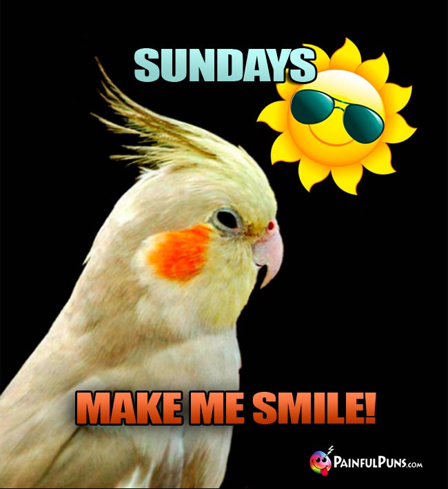 Cockatiel Says: Sundays Make Me Smile!