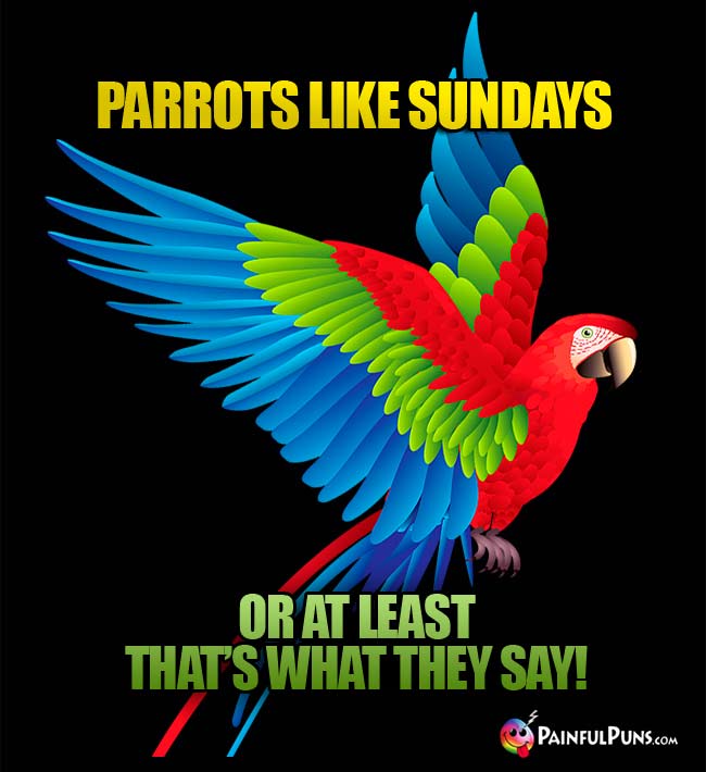 Parrots like Sundays, or at least that's what they say!