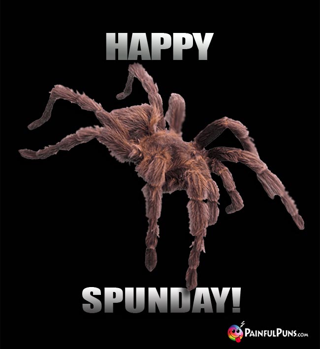 Tarantula Says: Happy SpunDay!