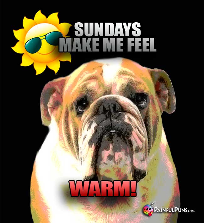 Bulldog Says: Sundays Make Me Feel Warm!