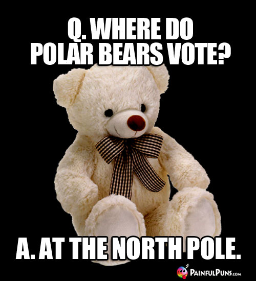 Q. Where do polar bears vote? A. At the North Pole.