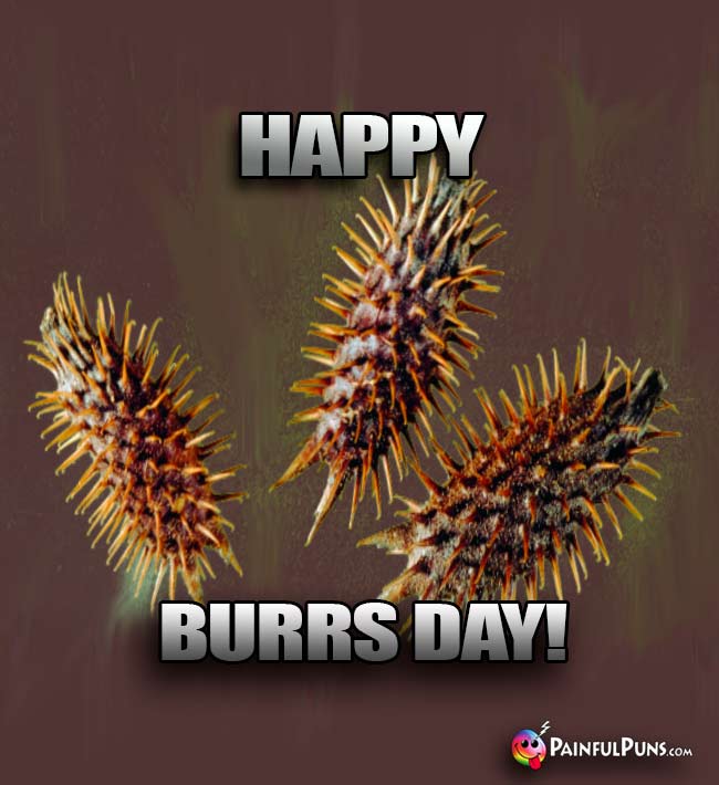 Happy Burrs Day!