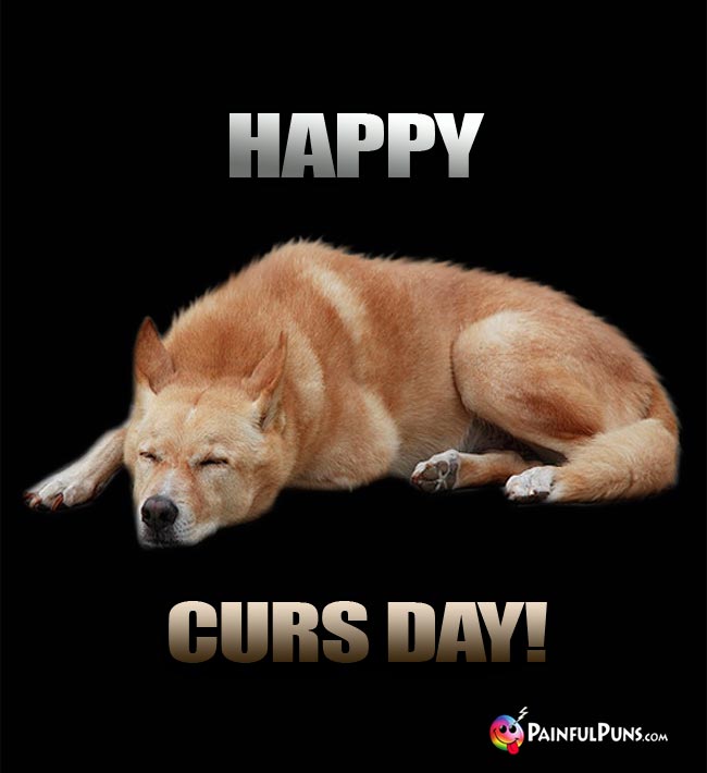 Sleepy Dog Says: Happy Curs Day!