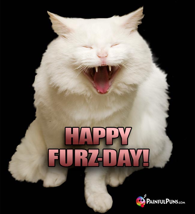 Laughing Long-Haired Cat Says: Happy Furz-Day!