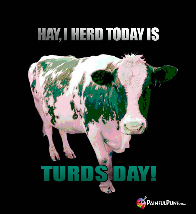 Cow says: Hay, I herd today is Turds Day!