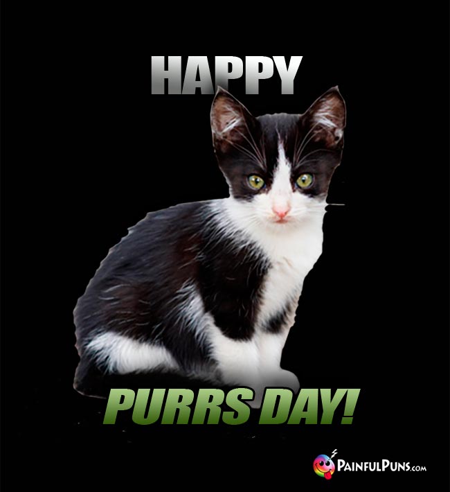 Sweet Little Kitten Says: Happy Purrs Day!