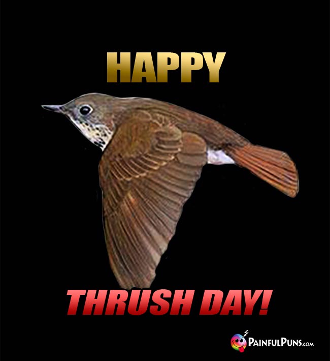 Little Bird In Flight Says: Happy Thrush Day!