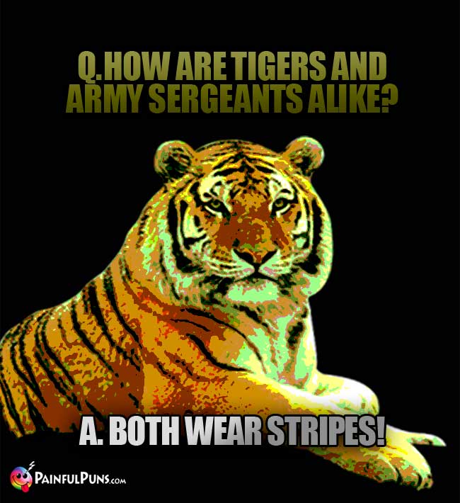 Q. How are tigers and army  sergeants alike? A. Both wear stripes!