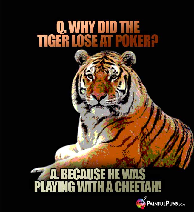 Q. Why did the tiger lose at poker? A. because he was playing with a cheetah!