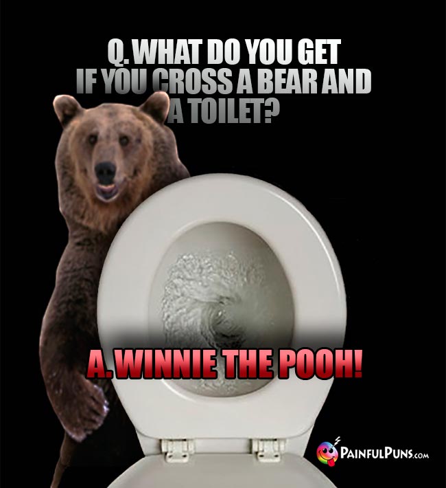 Q. What do you get if you cross a bear and a toilet? A. Winnie the Pooh!