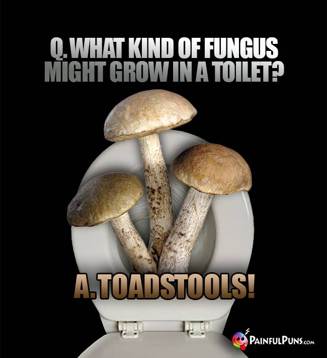 Q. What kind of fungus might grow in a toilet? A. Toadstools!