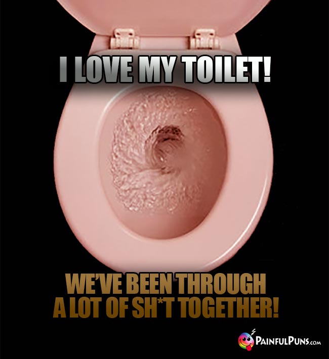 I love my toilet! We've been through a lot of sh*t together!