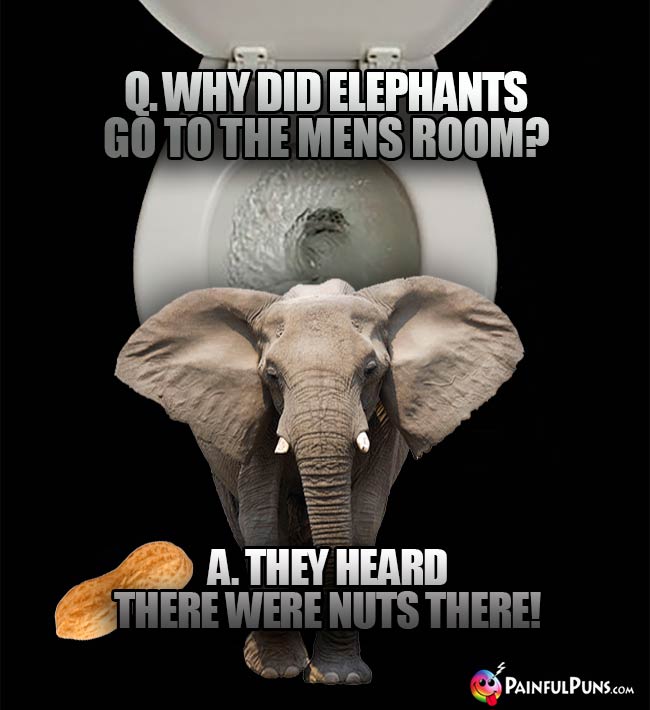 Q. Why did elephants go to the mens room? A. They heard there were nuts there!
