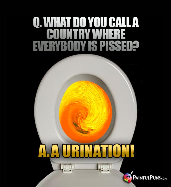 Q. What do you call a country where everybody is pissed? A. A Urination!