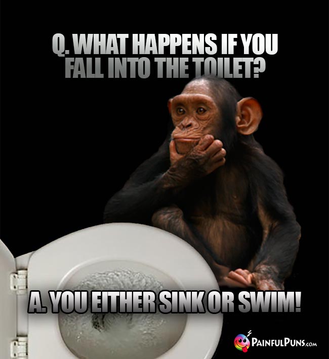 Q. What happens if you fall into the toilet? A. You either sink or swim!