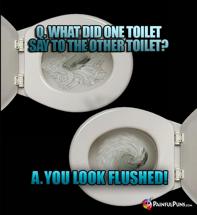 Q. What did one toilet say to the other toilet? A. You look flushed!