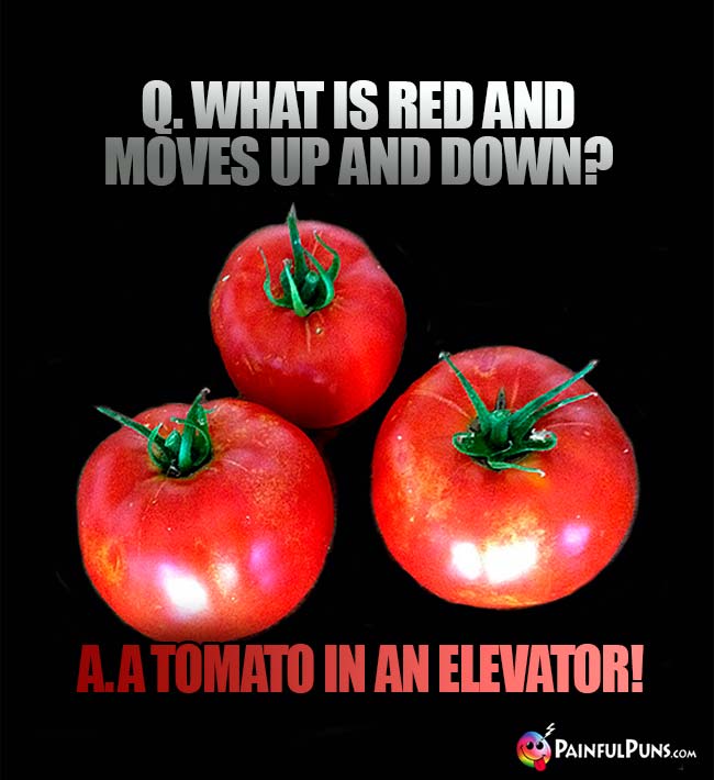Q. What is red and moves up and down? A. A tomato in an elevator!
