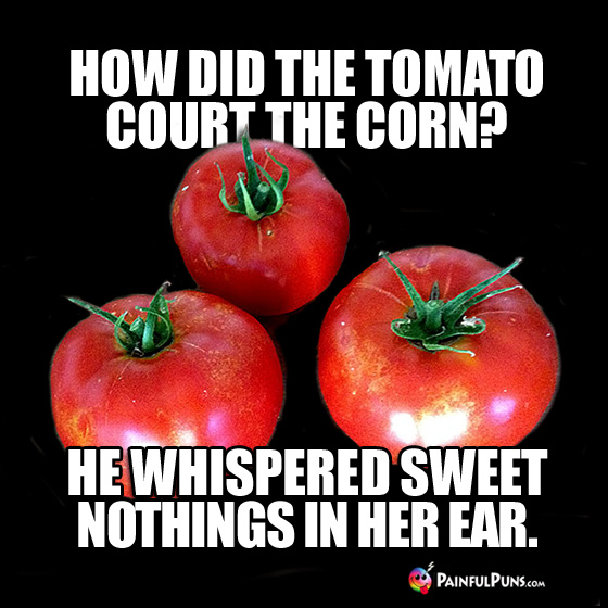 How did the tomato court the corn? He whispered sweet nothings in her ear.