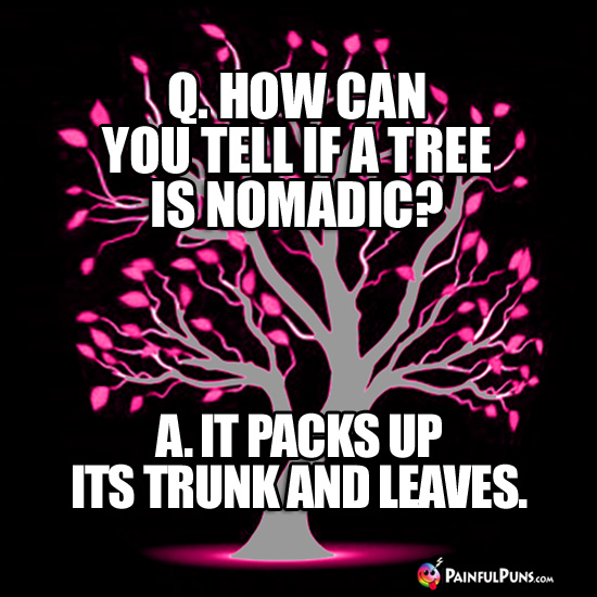 Q. How can you tell if a tree is nomadic? A. It packs up its trunk and leaves.