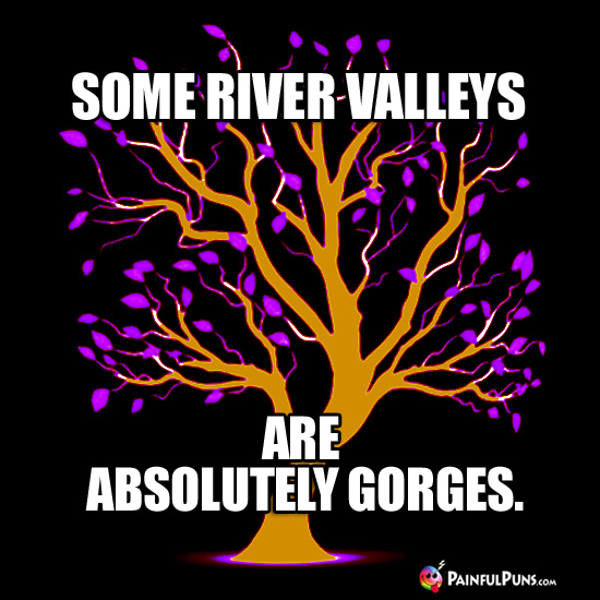 Some River Valleys Are Absolutely Gorges.