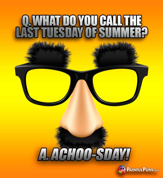 Q. What do you call the last Tuesday of summer? A. Achoo-sDay!