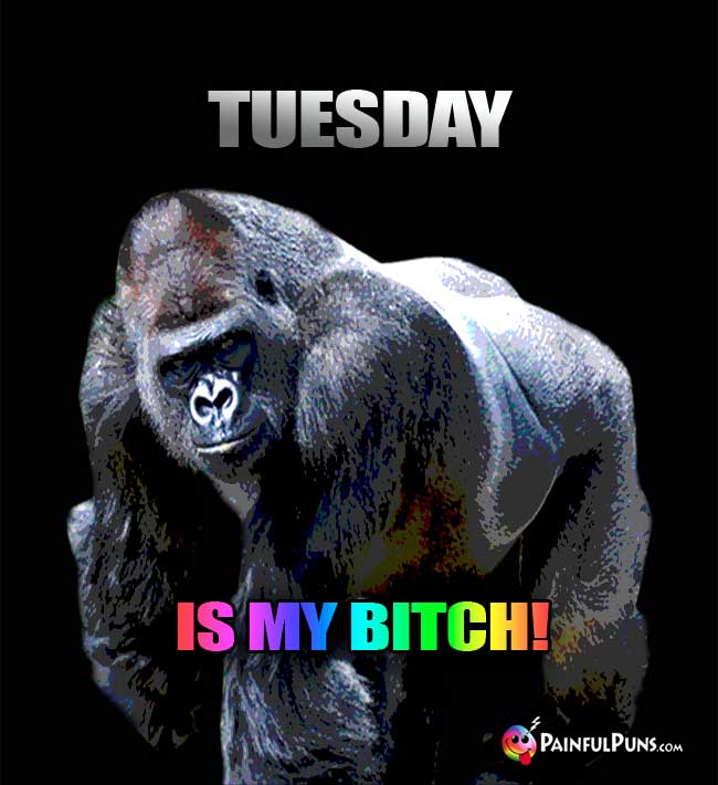 Big Gorilla Says: Tuesday I My Bitch!