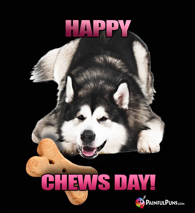 Big Dog Says: Happy Chews Day!