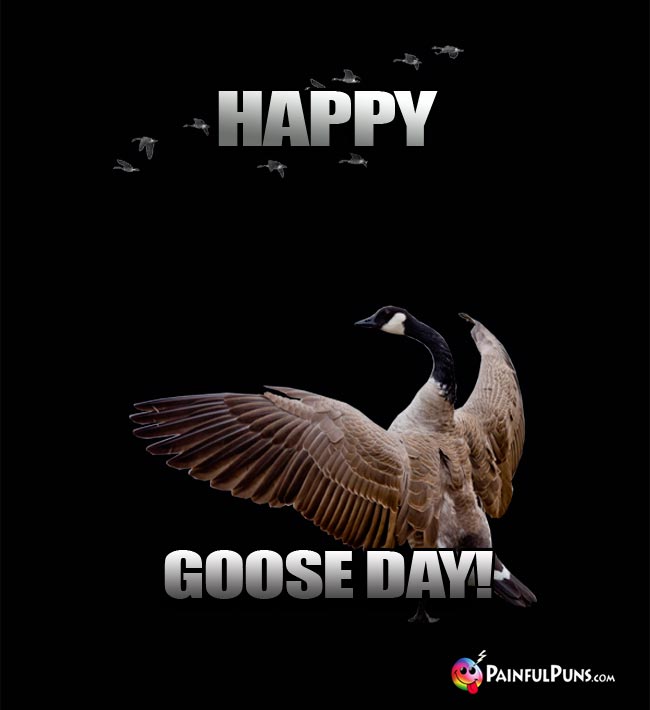 Canadian Gander Says: Happy Goose Day!