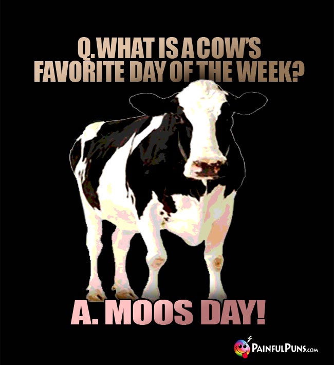 Q. What is a cow's favorite day of the week? A. Moos Day!