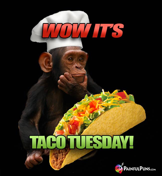 Wow It's Taco Tuesday!
