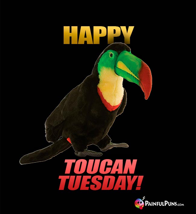Smiling Bird Says: Happy Toucan Tuesday!