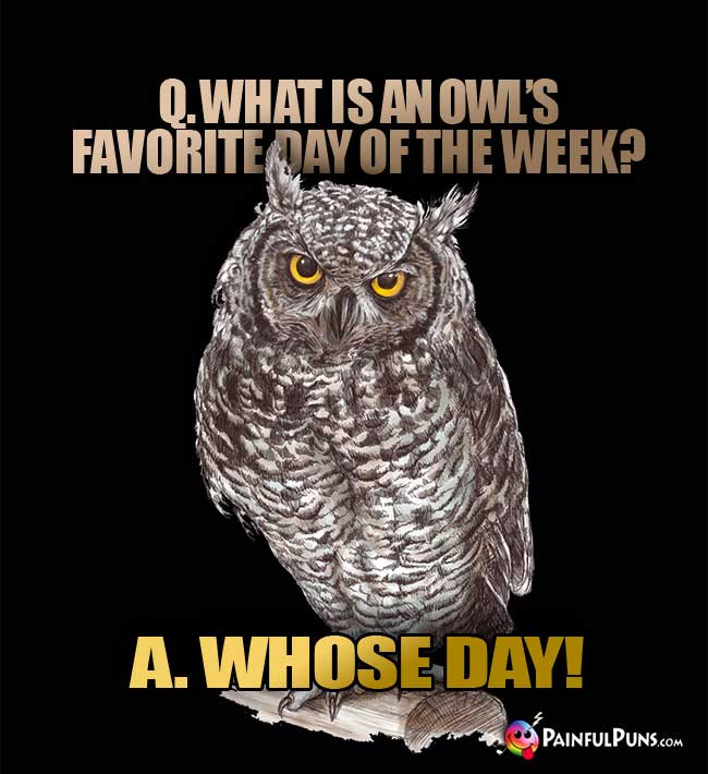 Q. What is an owl's favorite day of the week? A. Whose Day!