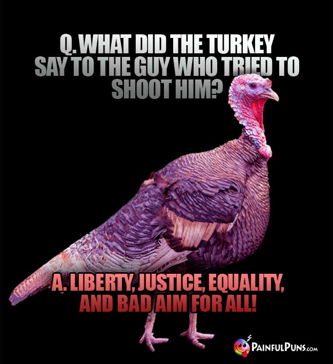 Q. What did the turkey say to the guy who tried to shoot him? a. Liberty, justice, equality, and bad aim for all!