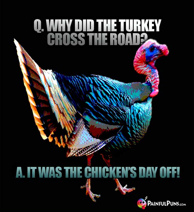 Q. Why did the turkey cross the road? A. It was the chcken's day off!