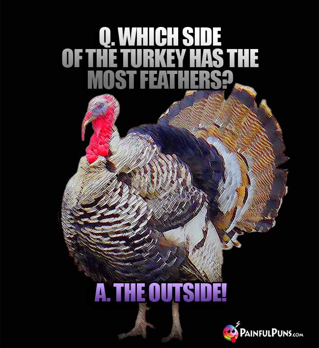 Q. Which side of the turkey has the most feathers? a. The outside!