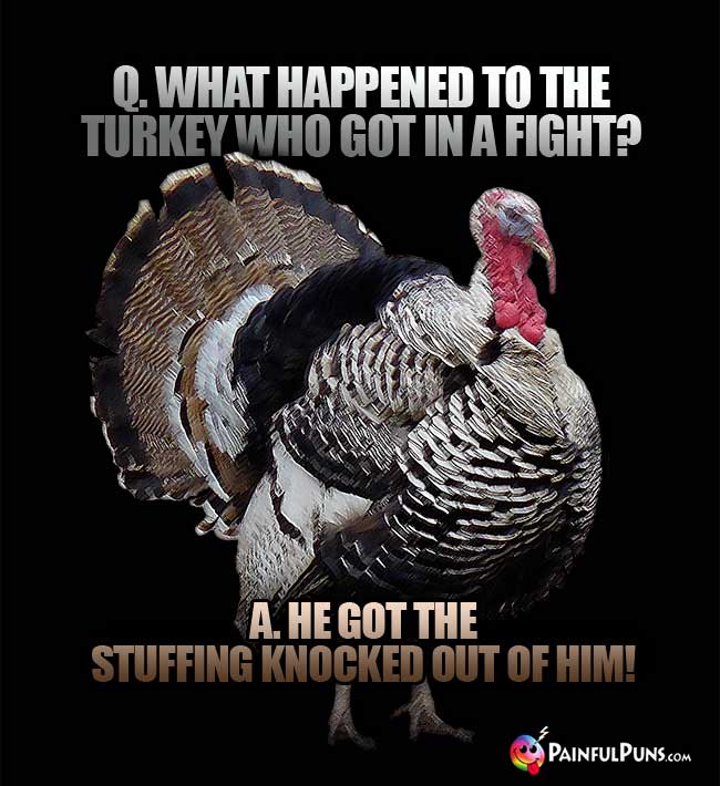 Q. What happened to the turkey who got in a fight? A. He got the stuffing knocked out of hin!