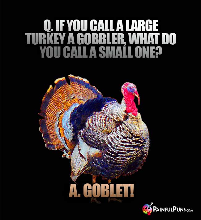 Q. If you call a large turkey a gobbler, what do you call a small one? A. Goblet!