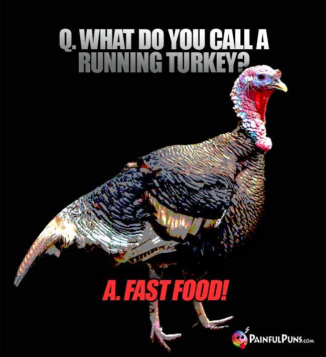 Q. What do you call a running turkey? A. Fast food!