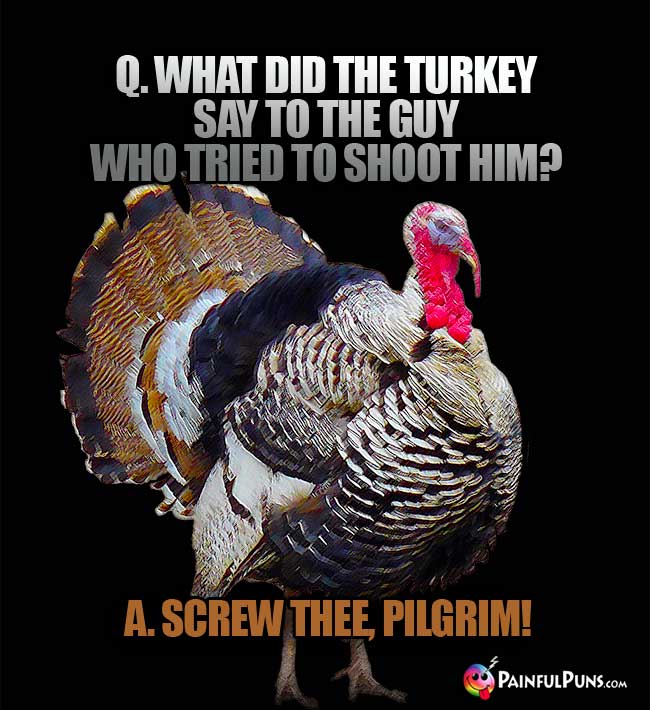 Q. what did the turkey say to the guy who tried to shoot hin? A. Screw Thee, Pilgrim!