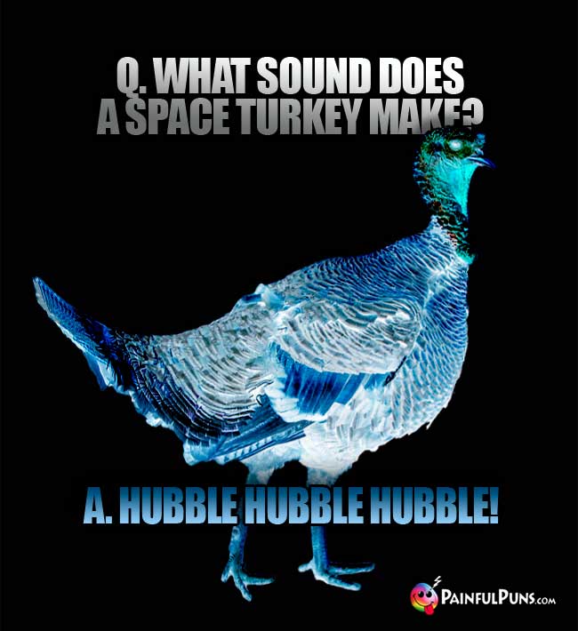 Q. What sound does a space turkey make? A. Hubble Hubble Hubble!