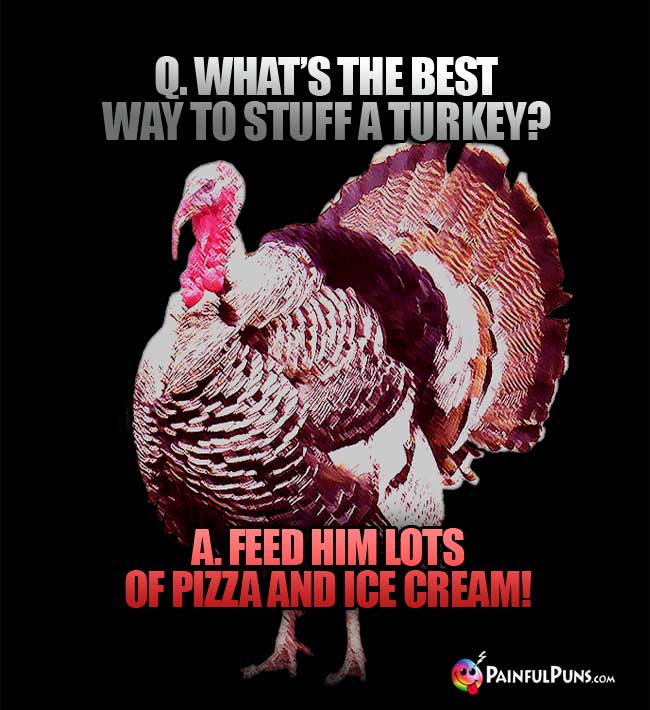 Q. What's the best way to stuff a turkey? A. Feed him lots of pizza and ice cream!