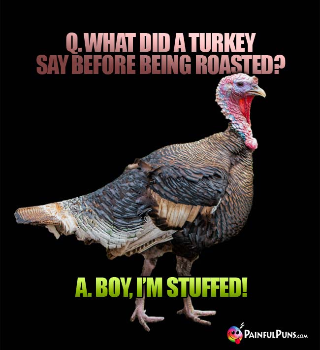 Q. What did a turkey say before being roasted? A. boy, I'm stuffed!