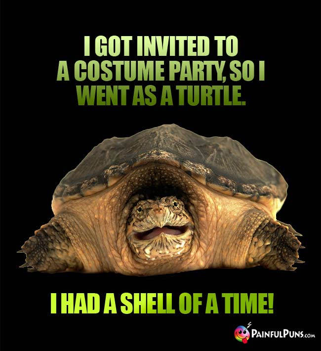 I got invited to a costume party, so I went as a turtle. I had a shell of a time!