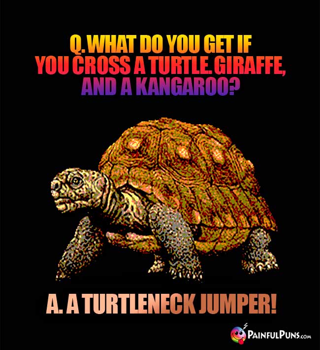 Q. What do you get if you cross a turtle, giraffe, and a kangaroo? A. A turtleneck jumper!