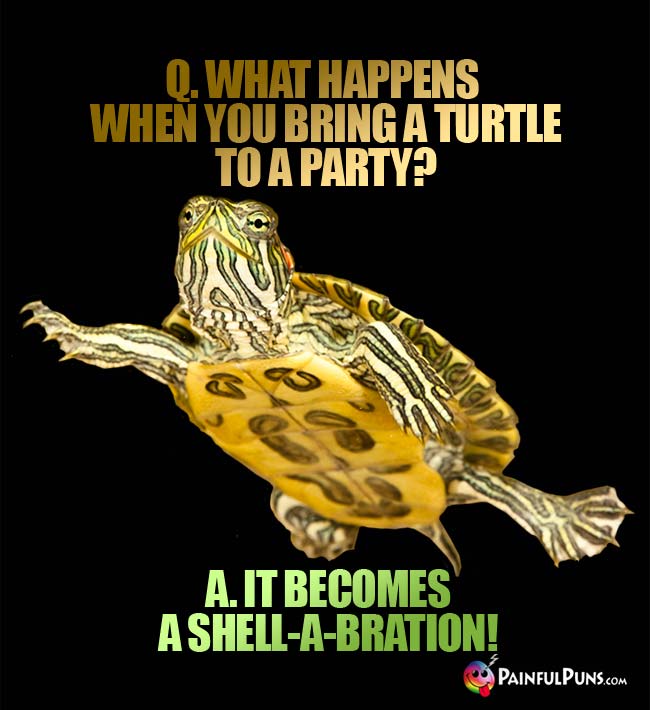 Q. What happens when you bring a turtle to a party? A. It becomes a shell-a-bration!