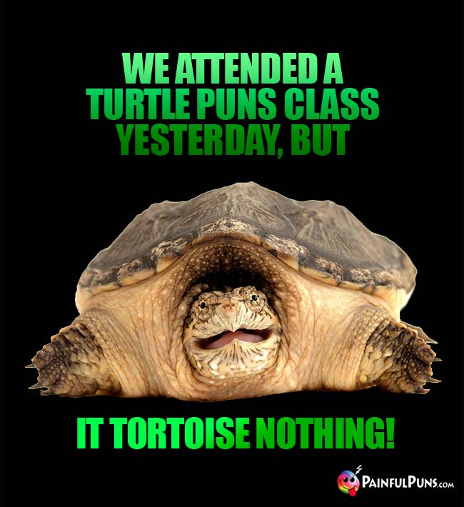 We attended a turtle puns class yesterday, but it tortoise nothing!