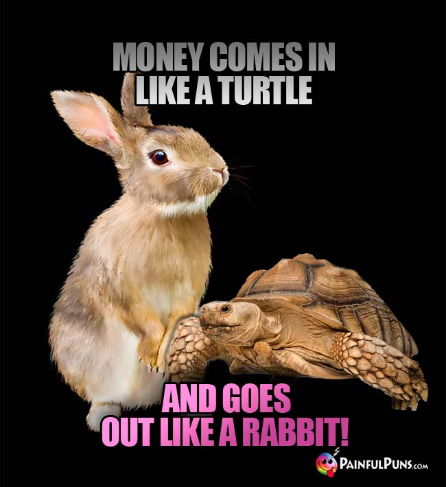 Money comes in like a turtle, and goes out like a rabbit!