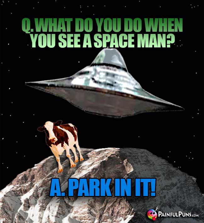 Q. What do you do when you see a space man? A. Park In It!